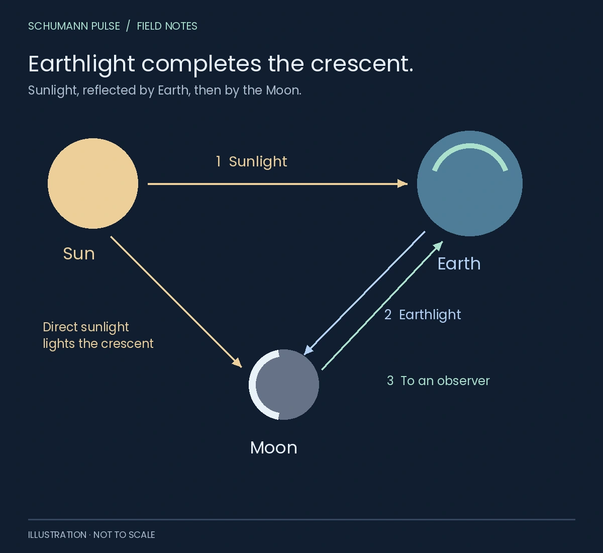 Earthshine path Sunlight reaches Earth, reflects to the Moon’s night side, then reflects back to an observer on Earth. A separate direct sunlight path illuminates the bright crescent.